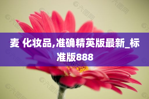 麦 化妆品,准确精英版最新_标准版888