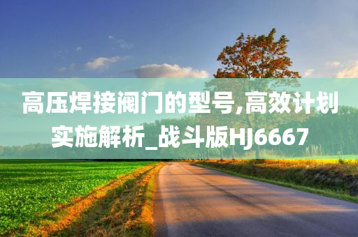 高压焊接阀门的型号,高效计划实施解析_战斗版HJ6667