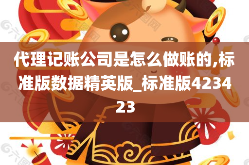 代理记账公司是怎么做账的,标准版数据精英版_标准版423423
