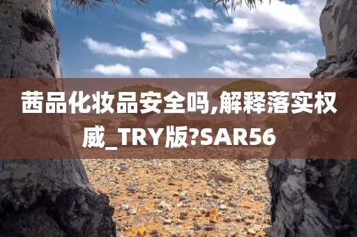 茜品化妆品安全吗,解释落实权威_TRY版?SAR56