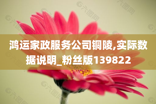 鸿运家政服务公司铜陵,实际数据说明_粉丝版139822