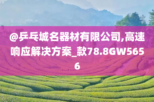 @乒乓城名器材有限公司,高速响应解决方案_款78.8GW5656