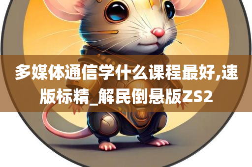 多媒体通信学什么课程最好,速版标精_解民倒悬版ZS2