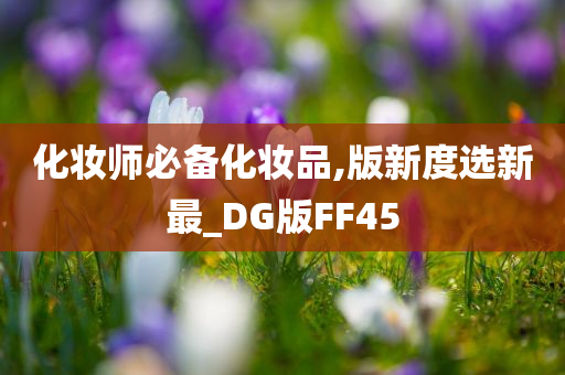 化妆师必备化妆品,版新度选新最_DG版FF45