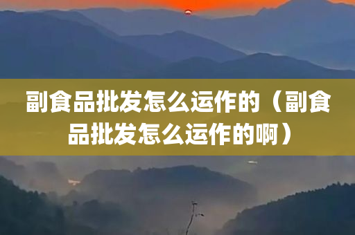 副食品批发怎么运作的（副食品批发怎么运作的啊）