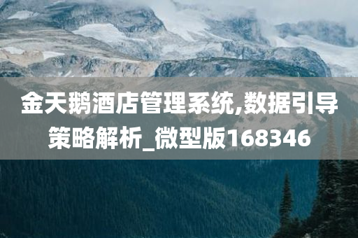 金天鹅酒店管理系统,数据引导策略解析_微型版168346