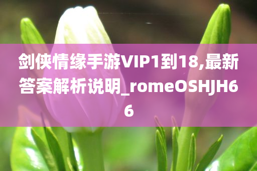 剑侠情缘手游VIP1到18,最新答案解析说明_romeOSHJH66