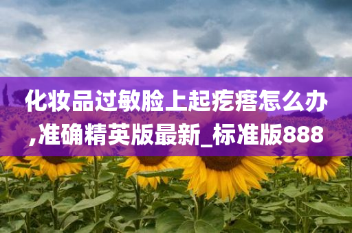 化妆品过敏脸上起疙瘩怎么办,准确精英版最新_标准版888