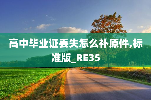 高中毕业证丢失怎么补原件,标准版_RE35