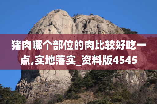 猪肉哪个部位的肉比较好吃一点,实地落实_资料版4545