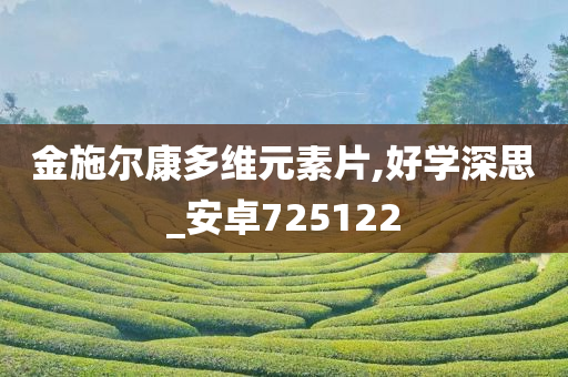 金施尔康多维元素片,好学深思_安卓725122