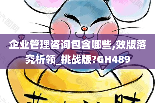 企业管理咨询包含哪些,效版落究析领_挑战版?GH489