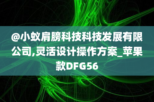 @小蚁肩膀科技科技发展有限公司,灵活设计操作方案_苹果款DFG56