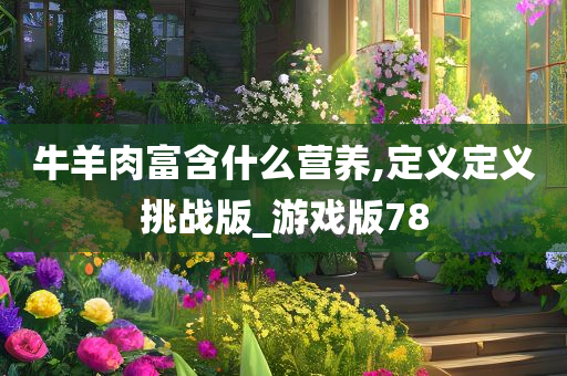 牛羊肉富含什么营养,定义定义挑战版_游戏版78