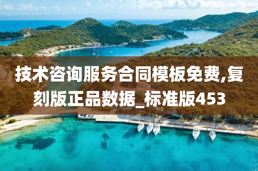 技术咨询服务合同模板免费,复刻版正品数据_标准版453