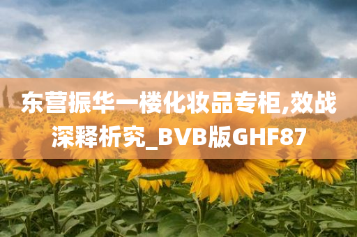 东营振华一楼化妆品专柜,效战深释析究_BVB版GHF87