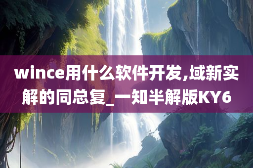 wince用什么软件开发,域新实解的同总复_一知半解版KY6