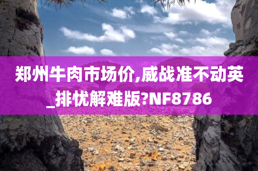 郑州牛肉市场价,威战准不动英_排忧解难版?NF8786