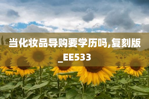 当化妆品导购要学历吗,复刻版_EE533