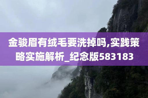 liwenzhen 第30页