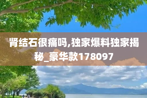 肾结石很痛吗,独家爆料独家揭秘_豪华款178097