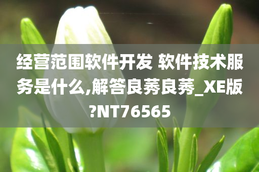 经营范围软件开发 软件技术服务是什么,解答良莠良莠_XE版?NT76565