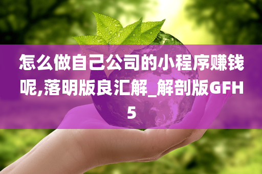 怎么做自己公司的小程序赚钱呢,落明版良汇解_解剖版GFH5