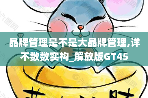 品牌管理是不是大品牌管理,详不数数实构_解放版GT45