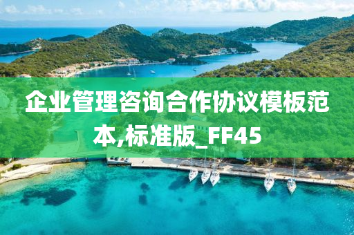 企业管理咨询合作协议模板范本,标准版_FF45
