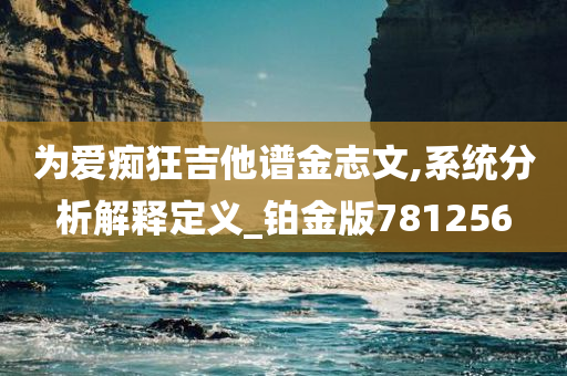 为爱痴狂吉他谱金志文,系统分析解释定义_铂金版781256