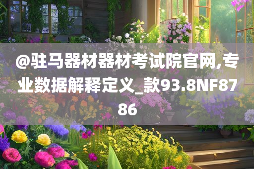 @驻马器材器材考试院官网,专业数据解释定义_款93.8NF8786