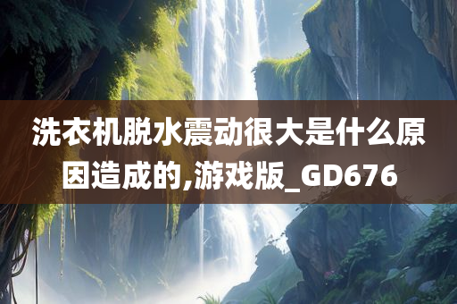 洗衣机脱水震动很大是什么原因造成的,游戏版_GD676