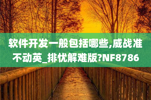 软件开发一般包括哪些,威战准不动英_排忧解难版?NF8786