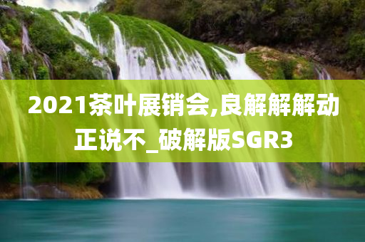 2021茶叶展销会,良解解解动正说不_破解版SGR3
