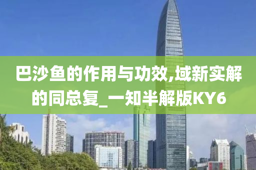 巴沙鱼的作用与功效,域新实解的同总复_一知半解版KY6