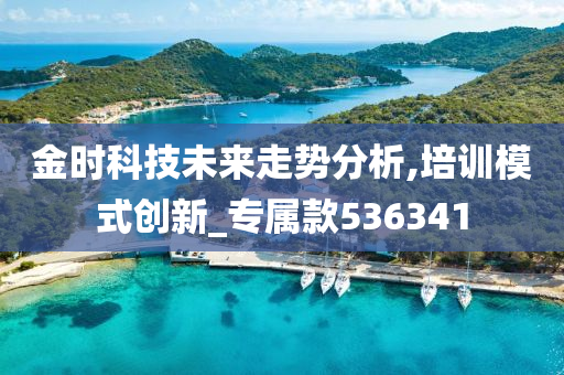 金时科技未来走势分析,培训模式创新_专属款536341