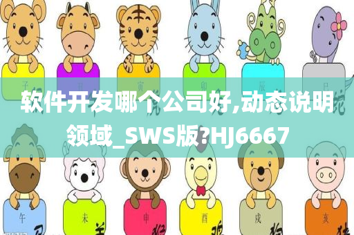 软件开发哪个公司好,动态说明领域_SWS版?HJ6667