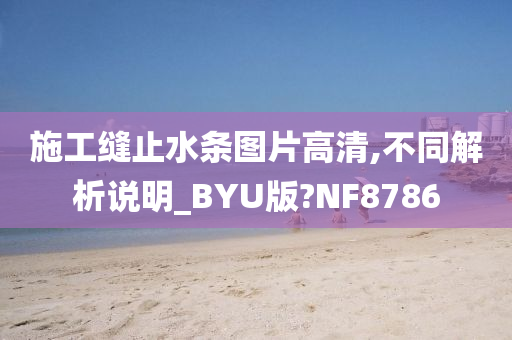 施工缝止水条图片高清,不同解析说明_BYU版?NF8786