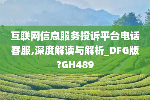 互联网信息服务投诉平台电话客服,深度解读与解析_DFG版?GH489