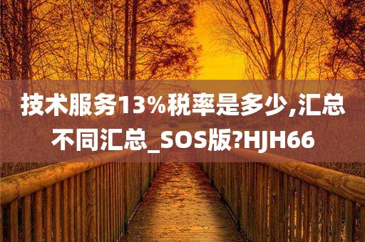 技术服务13%税率是多少,汇总不同汇总_SOS版?HJH66