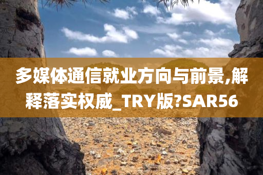多媒体通信就业方向与前景,解释落实权威_TRY版?SAR56