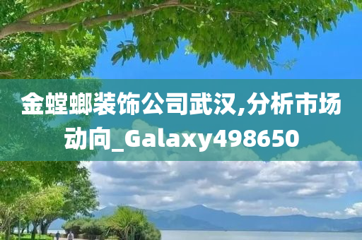 金螳螂装饰公司武汉,分析市场动向_Galaxy498650