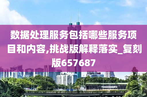 数据处理服务包括哪些服务项目和内容,挑战版解释落实_复刻版657687