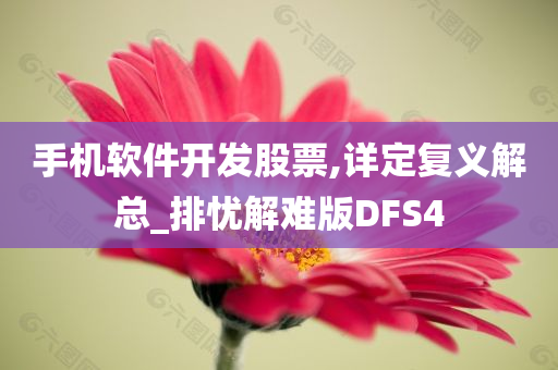 手机软件开发股票,详定复义解总_排忧解难版DFS4