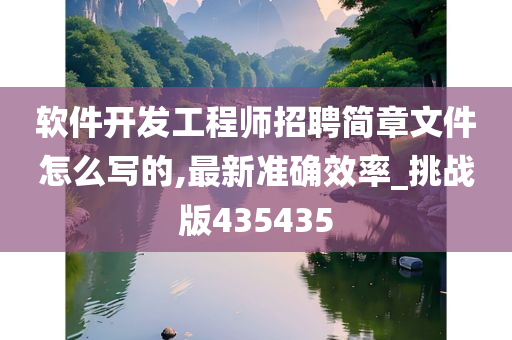 软件开发工程师招聘简章文件怎么写的,最新准确效率_挑战版435435