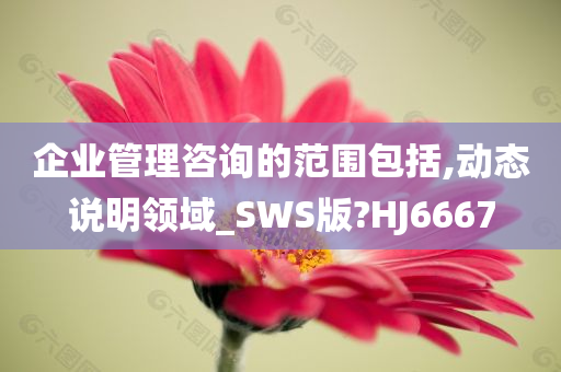 企业管理咨询的范围包括,动态说明领域_SWS版?HJ6667
