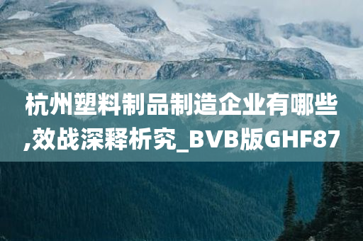 杭州塑料制品制造企业有哪些,效战深释析究_BVB版GHF87
