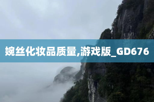 婉丝化妆品质量,游戏版_GD676