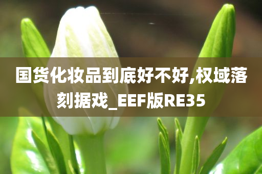 国货化妆品到底好不好,权域落刻据戏_EEF版RE35
