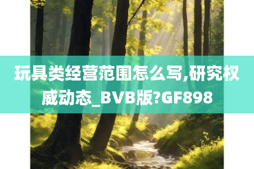 玩具类经营范围怎么写,研究权威动态_BVB版?GF898